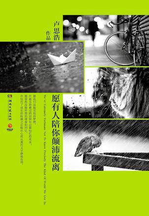 愿有人陪你颠沛流离（2014年在湖南文艺出版社出版的图书）