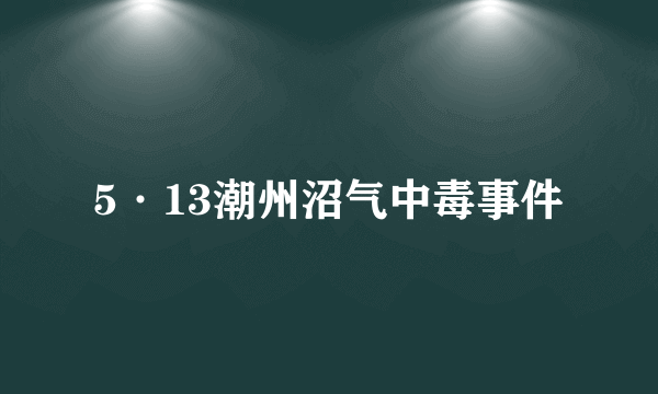 5·13潮州沼气中毒事件