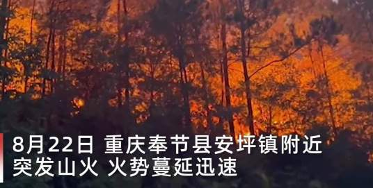 8·23奉节山火