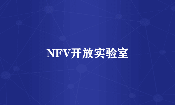 NFV开放实验室
