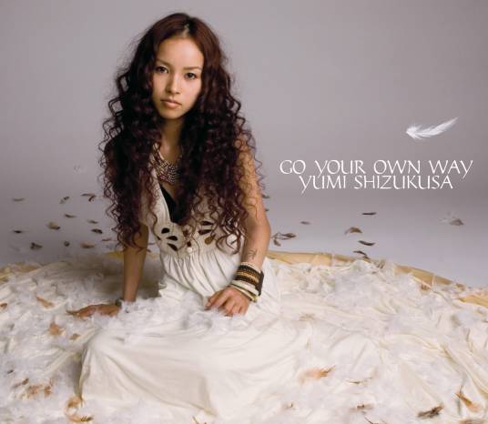 GO YOUR OWN WAY（2008年日本歌手滴草由实演唱歌曲）