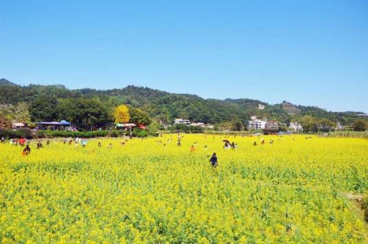 红山村（广东省云浮市云安区石城镇下辖村）