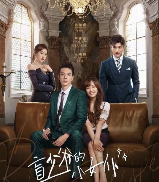 盲少爷的小女仆（2023年张馨元执导爱情电视剧）