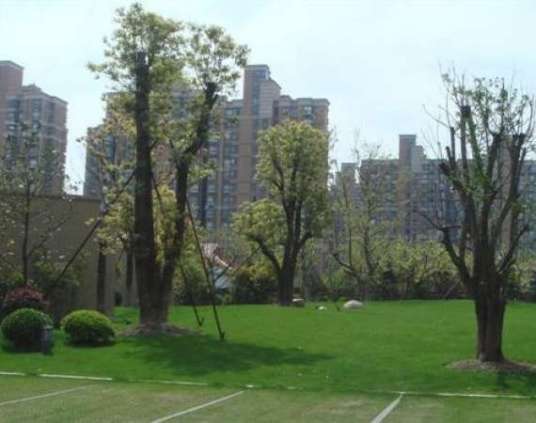 春申景城三期