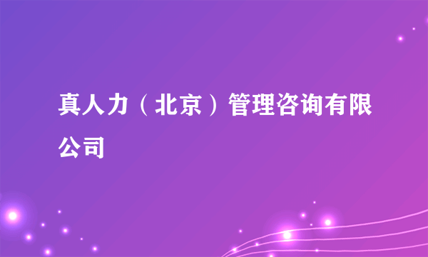 真人力（北京）管理咨询有限公司