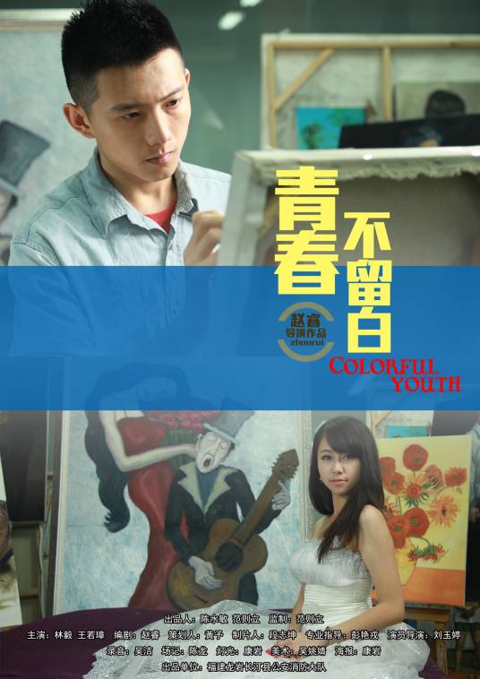 青春不留白（2013年赵睿执导的爱情、剧情电影）