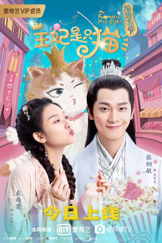 报告王爷，王妃是只猫（2019年谭友业执导网剧）