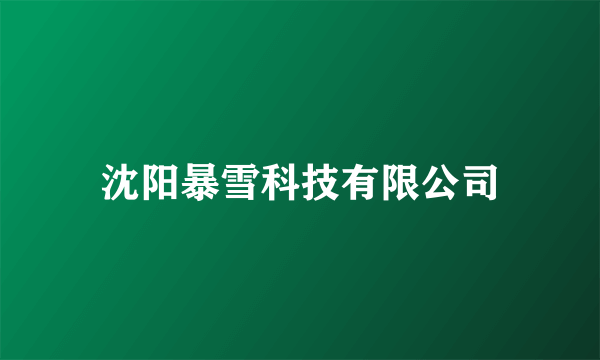 沈阳暴雪科技有限公司
