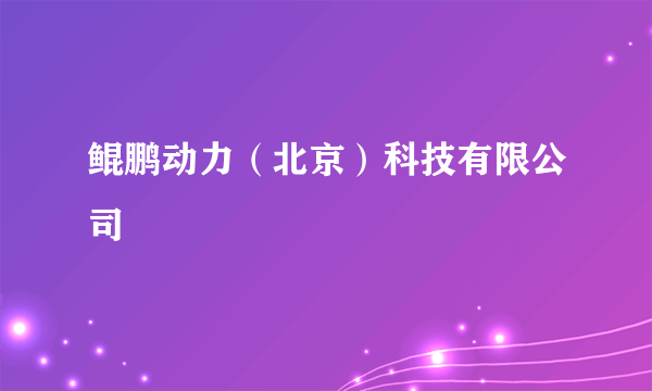 鲲鹏动力（北京）科技有限公司