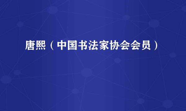 唐熙（中国书法家协会会员）