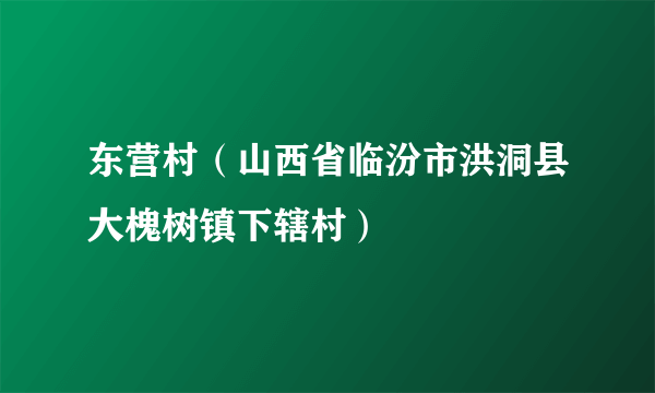 东营村（山西省临汾市洪洞县大槐树镇下辖村）