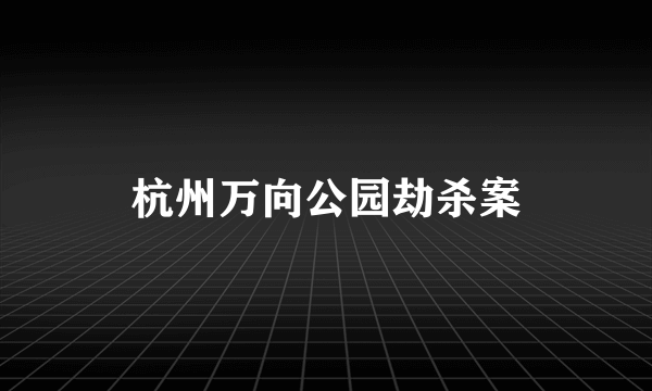 杭州万向公园劫杀案