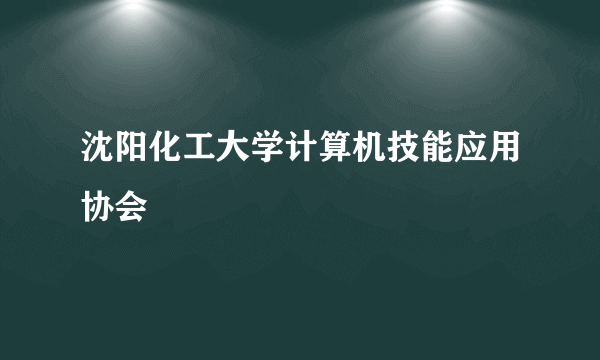 沈阳化工大学计算机技能应用协会
