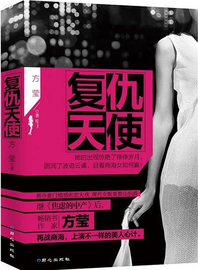 复仇天使（2014年同心出版社出版的图书）