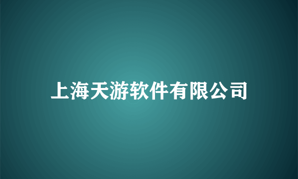 上海天游软件有限公司