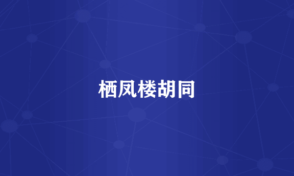 栖凤楼胡同