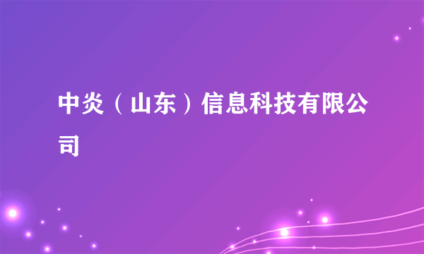 中炎（山东）信息科技有限公司