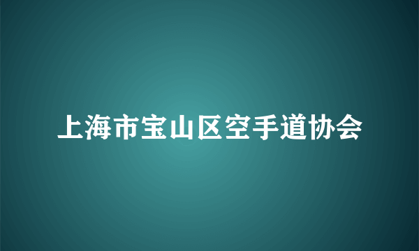 上海市宝山区空手道协会