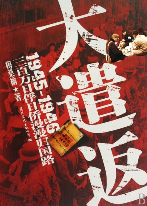 大遣返（2009年国际文化出版公司出版的图书）