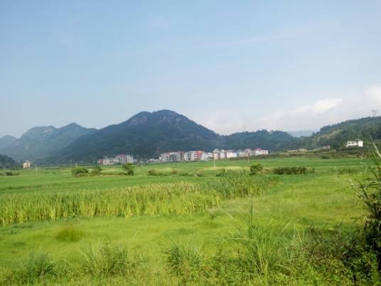 大贤村（莆田市涵江区新县镇大贤村）