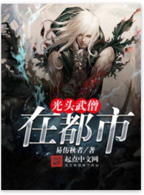 光头武僧在都市