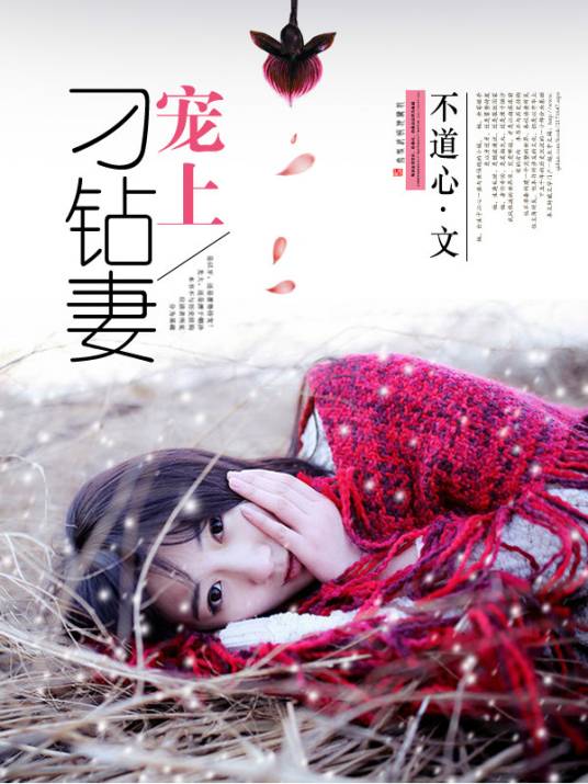 宠上刁钻妻