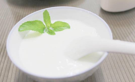 嗜酸乳杆菌乳