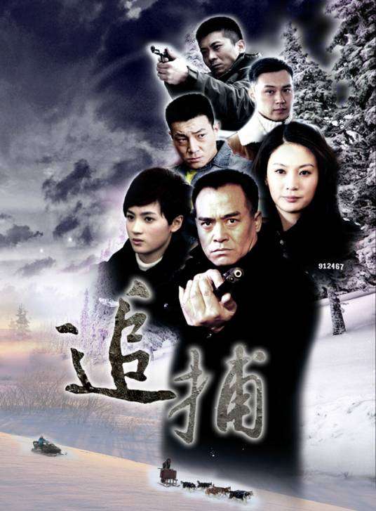 追捕（2013年李大强、杨朗从执导电视剧）