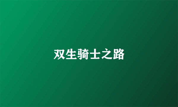 双生骑士之路