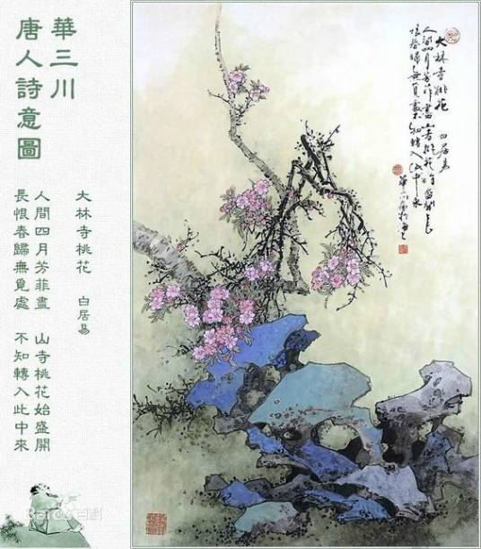 桃花（桃花诗句）