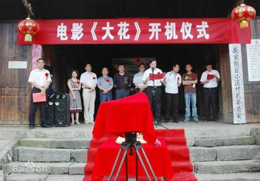 大花（2012年赵康执导的电影）
