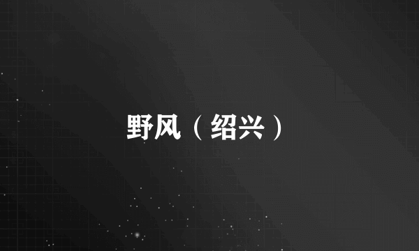 野风（绍兴）