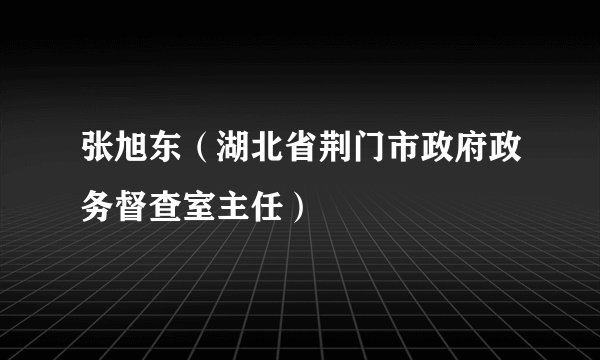 张旭东（湖北省荆门市政府政务督查室主任）