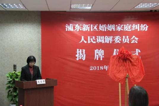 婚姻救助措施