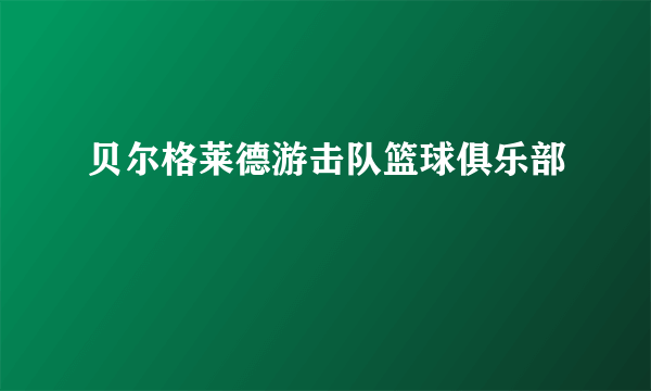 贝尔格莱德游击队篮球俱乐部