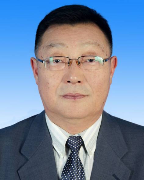 金星（内蒙古医学院研究生学院副教授）