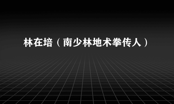 林在培（南少林地术拳传人）