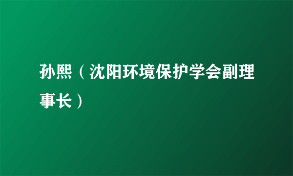 孙熙（沈阳环境保护学会副理事长）