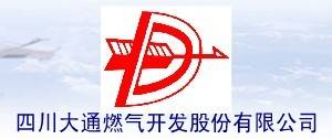德龙汇能集团股份有限公司