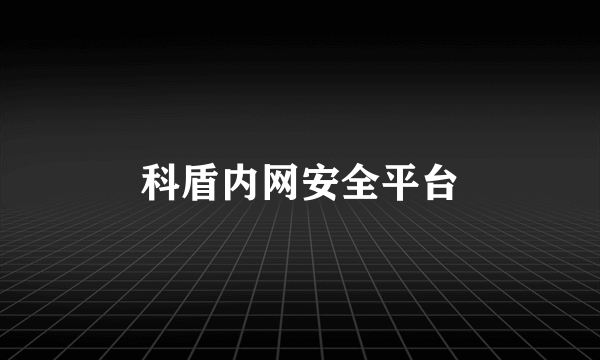 科盾内网安全平台