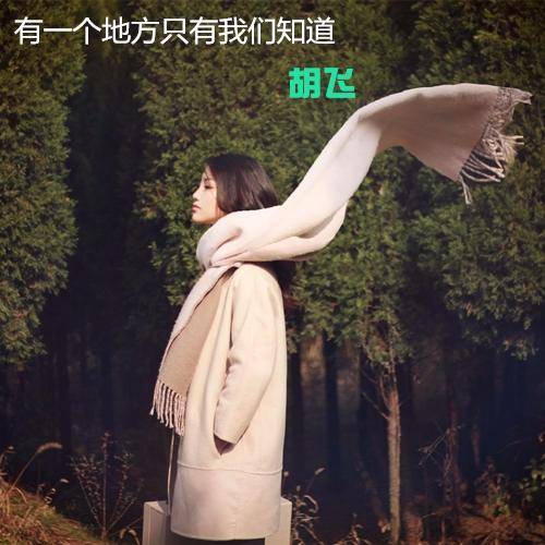 有一个地方只有我们知道（歌曲）