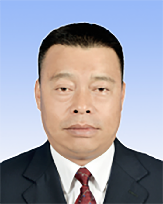 苏武（云南省丽江市委常委、古城区委书记，世界文化遗产丽江古城保护管理局党工委书记）