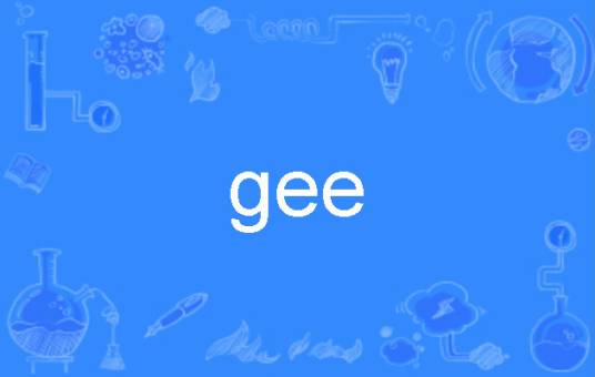 gee（词语解释）
