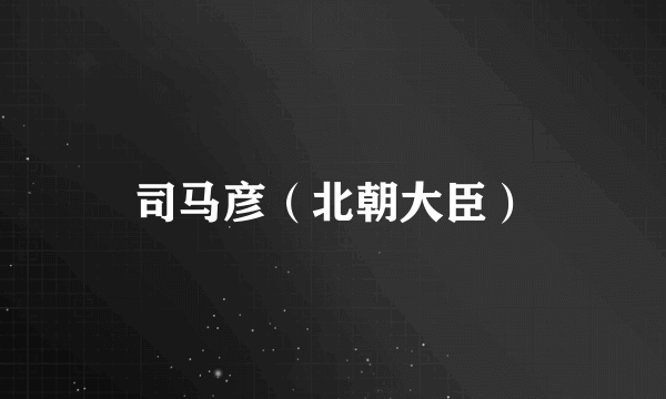 司马彦（北朝大臣）