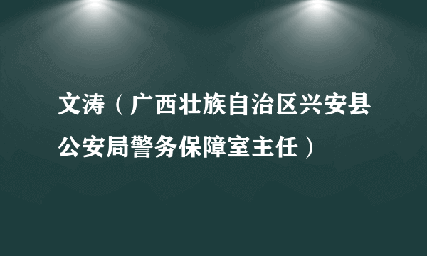 文涛（广西壮族自治区兴安县公安局警务保障室主任）