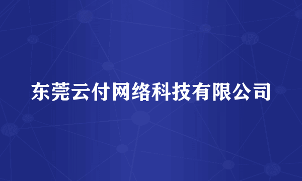 东莞云付网络科技有限公司