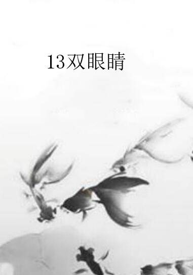 13双眼睛