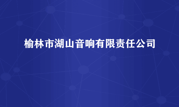 榆林市湖山音响有限责任公司