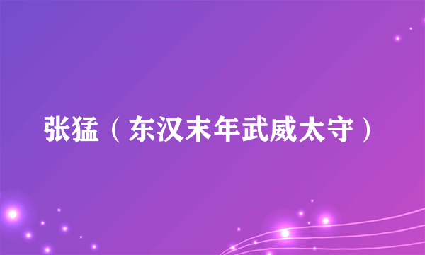 张猛（东汉末年武威太守）