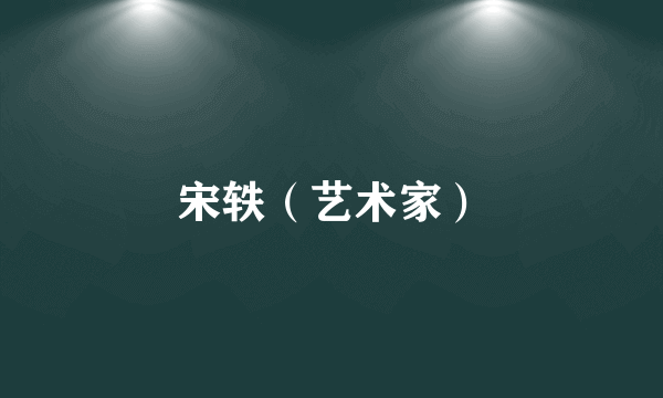 宋轶（艺术家）